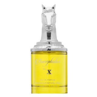 Armaf Bucephalus No. X Парфюмна вода за мъже 100 ml
