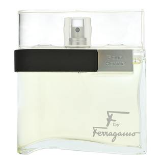 Salvatore Ferragamo F by Ferragamo Pour Homme тоалетна вода за мъже 100 ml
