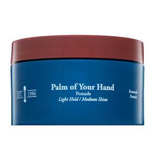 CHI Man Palm of Your Hand Pomade помада за коса 85 g