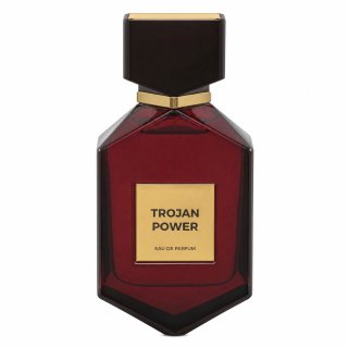 Camara Trojan Power Парфюмна вода за мъже 100 ml