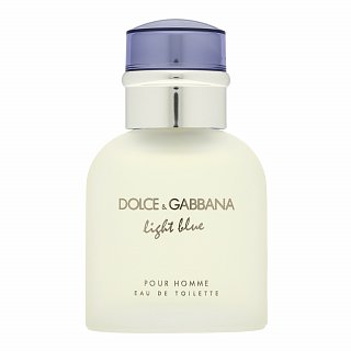 Dolce & Gabbana Light Blue Pour Homme тоалетна вода за мъже 40 ml