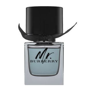 Burberry Mr. Burberry тоалетна вода за мъже 50 ml