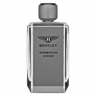 Bentley Momentum Intense Парфюмна вода за мъже 100 ml