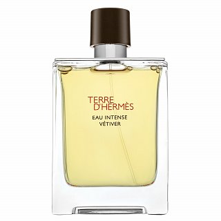 Hermes Terre D'Hermes Eau Intense Vetiver Парфюмна вода за мъже 100 ml