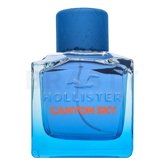 Hollister Canyon Sky For Him тоалетна вода за мъже 100 ml