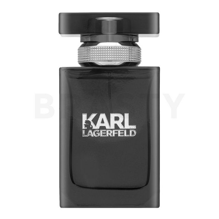 Lagerfeld Karl Lagerfeld for Him тоалетна вода за мъже 50 ml