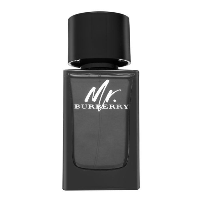 Burberry Mr. Burberry парфюмна вода за мъже 100 ml