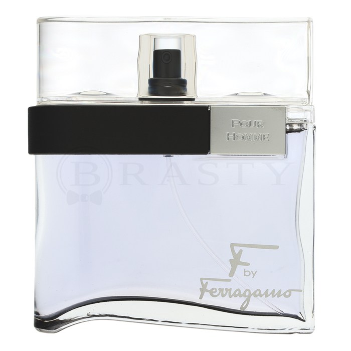 Salvatore Ferragamo F by Ferragamo Pour Homme Black тоалетна вода за мъже 100 ml