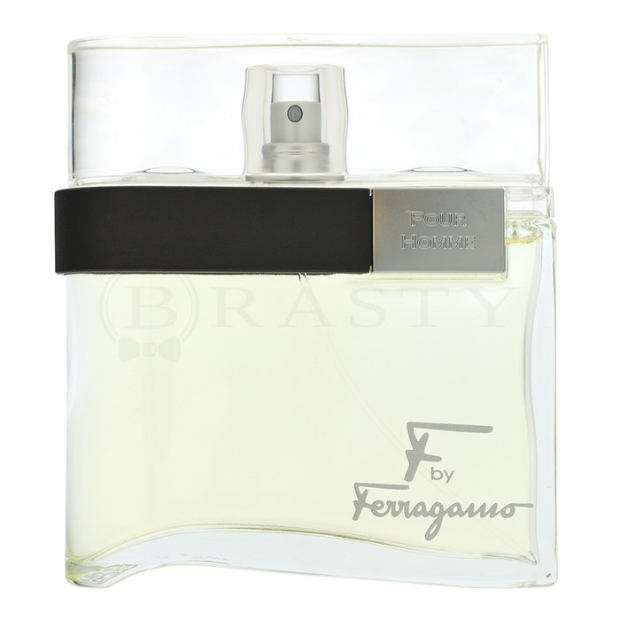 Salvatore Ferragamo F by Ferragamo Pour Homme тоалетна вода за мъже 100 ml