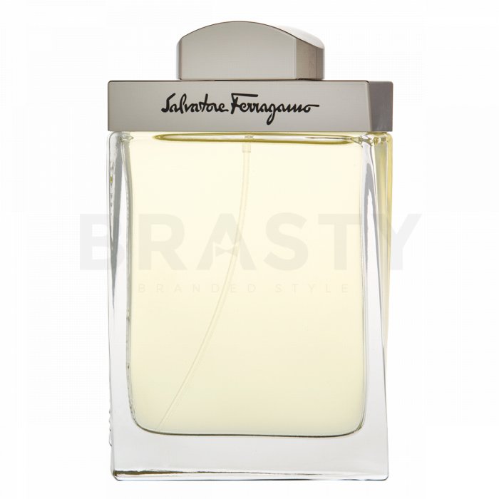 Salvatore Ferragamo Pour Homme тоалетна вода за мъже 100 ml