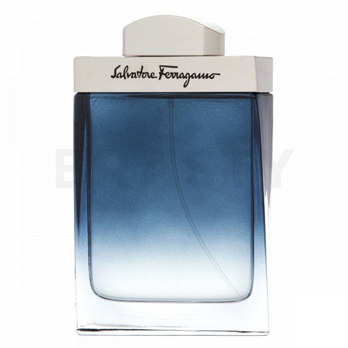 Salvatore Ferragamo Subtil Pour Homme тоалетна вода за мъже 100 ml