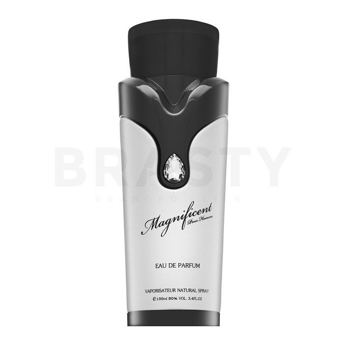 Armaf Magnificent Pour Homme парфюмна вода за мъже 100 ml
