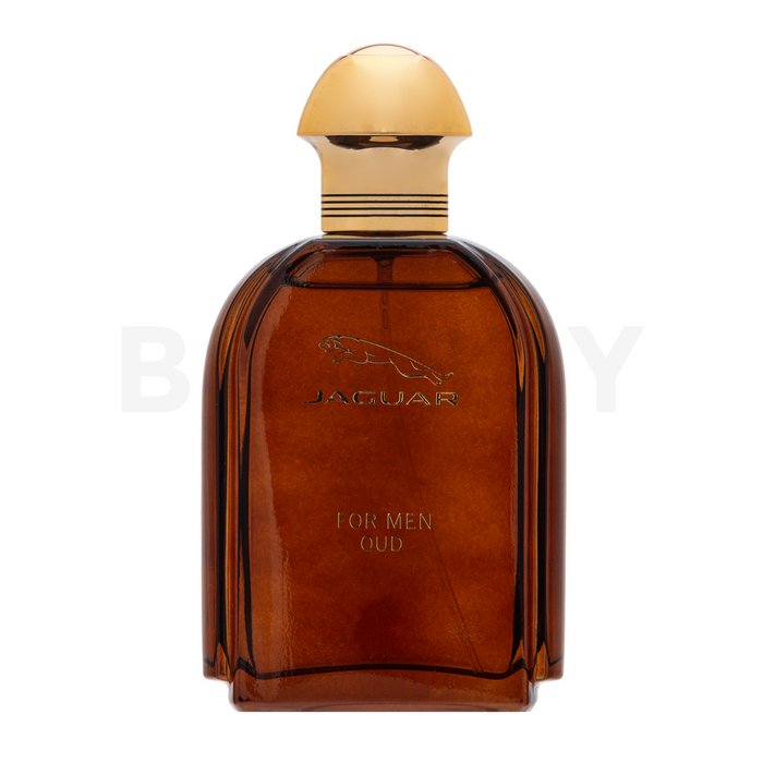 Jaguar Oud For Men парфюмна вода за мъже 100 ml