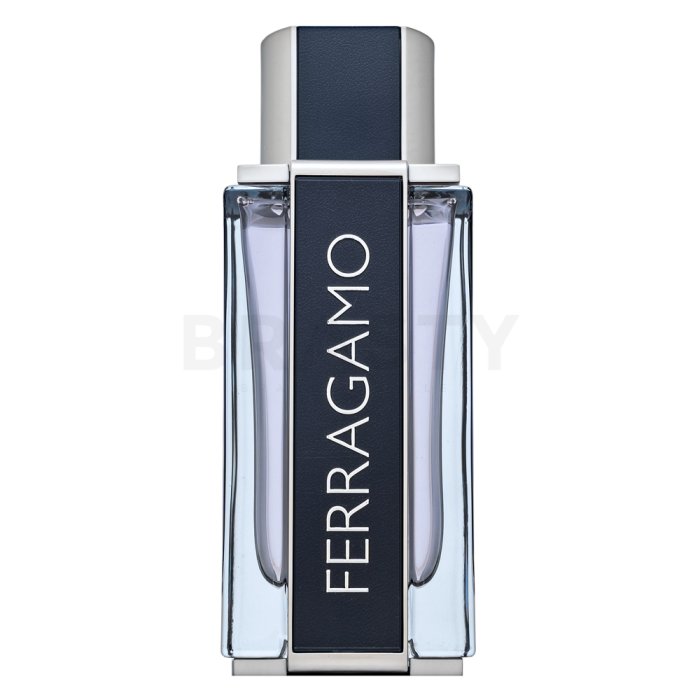 Salvatore Ferragamo Ferragamo тоалетна вода за мъже 100 ml