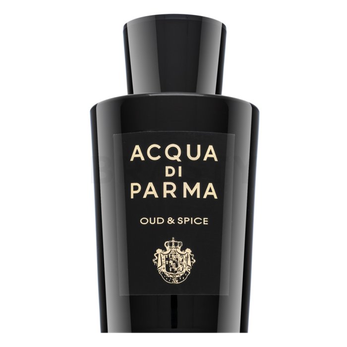 Acqua di Parma Oud & Spice парфюмна вода за мъже 180 ml