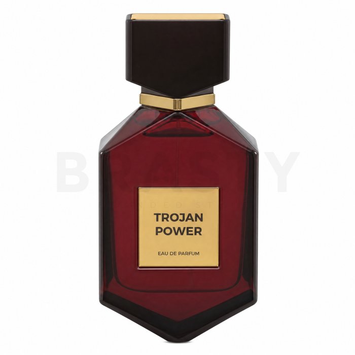 Camara Trojan Power парфюмна вода за мъже 100 ml