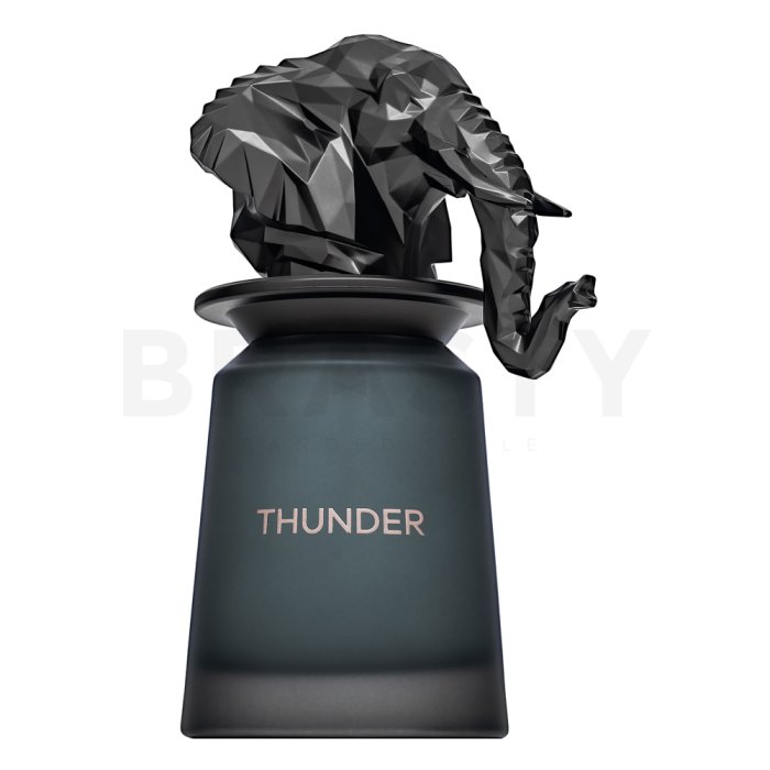 French Avenue Thunder парфюмна вода за мъже 100 ml