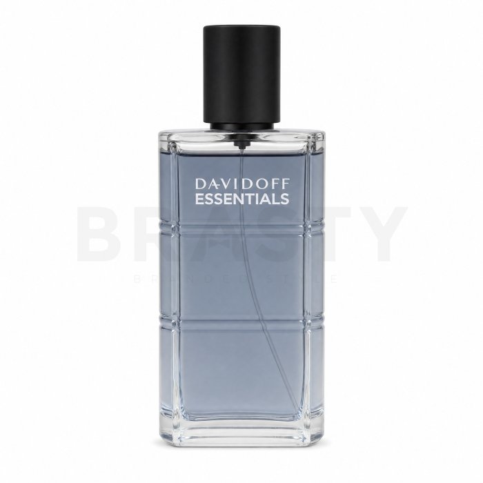 Davidoff Essentials Blue тоалетна вода за мъже 110 ml