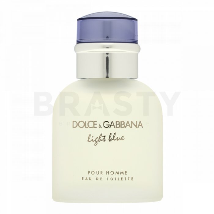 Dolce & Gabbana Light Blue Pour Homme тоалетна вода за мъже 40 ml