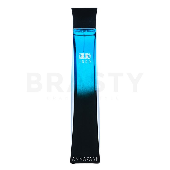 Annayake Undo Pour Homme тоалетна вода за мъже 100 ml
