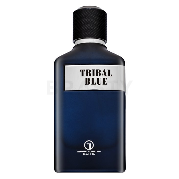 Grandeur Tribal Blue парфюмна вода за мъже 100 ml