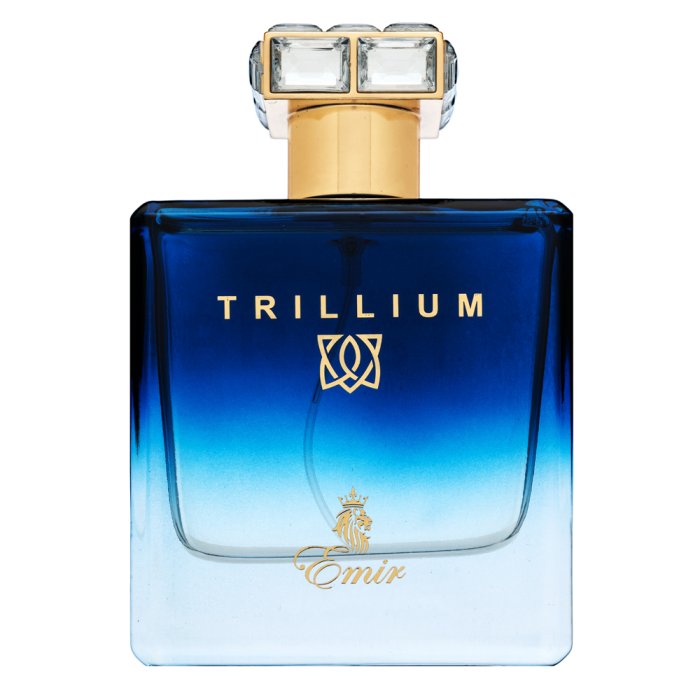 Emir Trillium парфюмна вода за мъже 100 ml