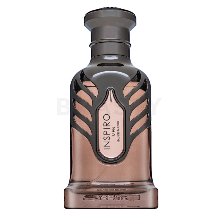 Riiffs Inspiro Men парфюмна вода за мъже 100 ml