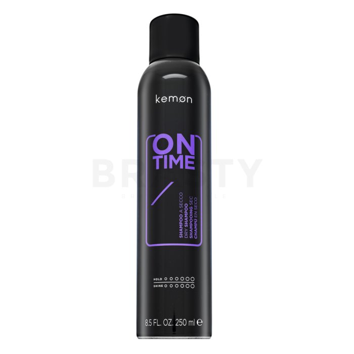 Kemon On Time Dry Shampoo сух шампоан за бързо омазняваща се коса 250 ml