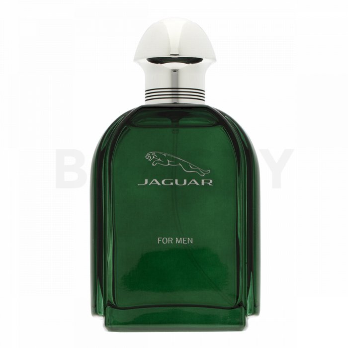 Jaguar Jaguar for Men тоалетна вода за мъже 100 ml