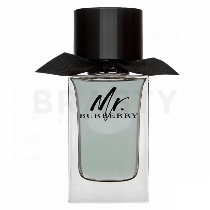 Burberry Mr. Burberry тоалетна вода за мъже 100 ml