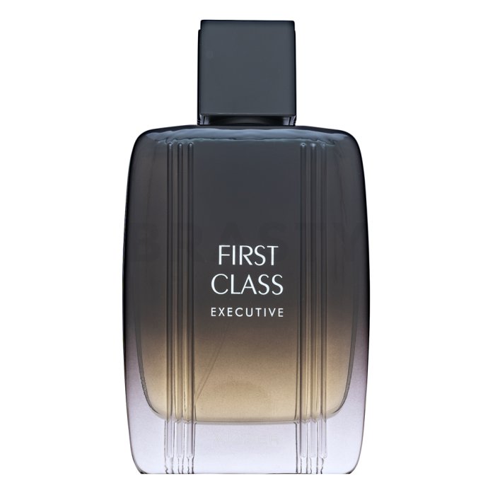 Aigner First Class Executive тоалетна вода за мъже 100 ml